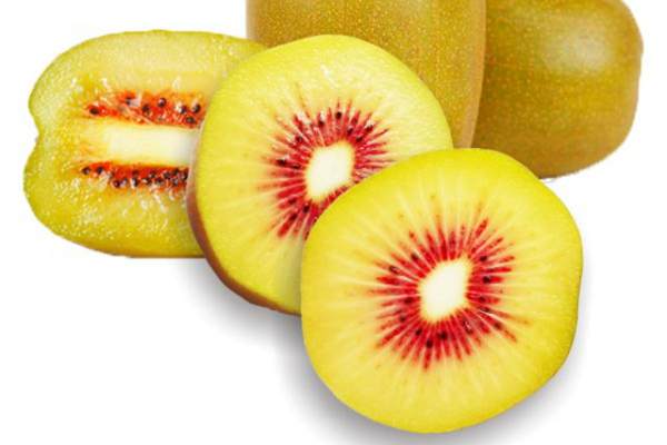 2024年红心猕猴桃几月份成熟上市采摘 2025 2026