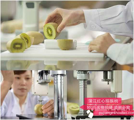 听专家给你介绍猕猴桃和奇异果的差别区别，消费者如何选择