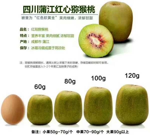 猕猴桃