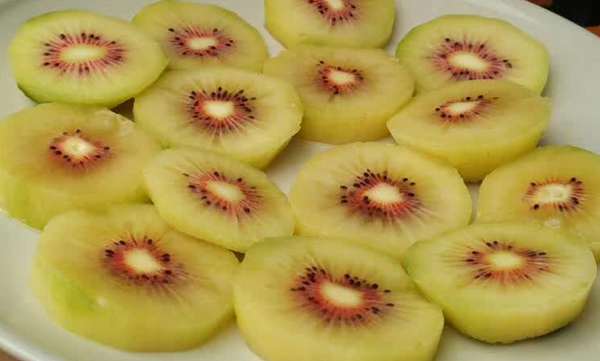 投资种植红心猕猴桃每亩成本大概是多少?收益效益如何？能不能赚钱？