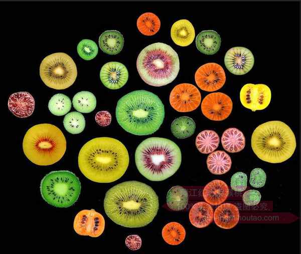 新西兰猕猴桃种植业曾濒临破产，如今爆赚180亿！没人要的“土特产”，凭啥高攀不起？