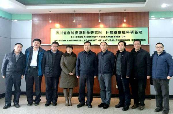 当今世界猕猴桃的发展现状与趋势