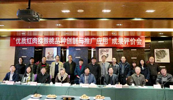 四川李明章育出了世界上第一个抗溃疡病的四倍体红心猕猴桃新品种