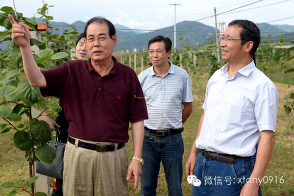 活跃在陕西猕猴桃领域的科研工作者刘占德