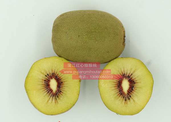 四川蒲江红心猕猴桃今年几月成熟上市