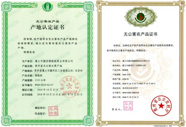 最好吃最甜的猕猴桃品种介绍已广泛栽培