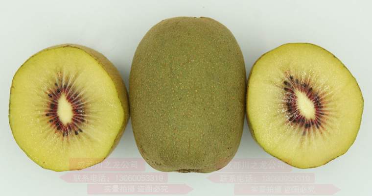 redkiwifruit Generations of building kiwifruit orchards 几代人建立猕猴桃果园