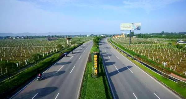 四川成都蒲江红心猕猴桃让种植户“拼”出红火幸福生活