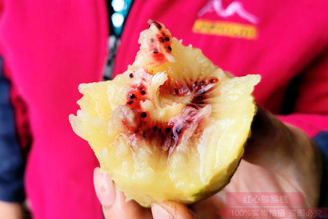 redkiwifruit Generations of building kiwifruit orchards 几代人建立猕猴桃果园