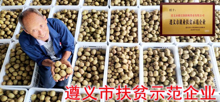 最好吃最甜的猕猴桃品种介绍已广泛栽培