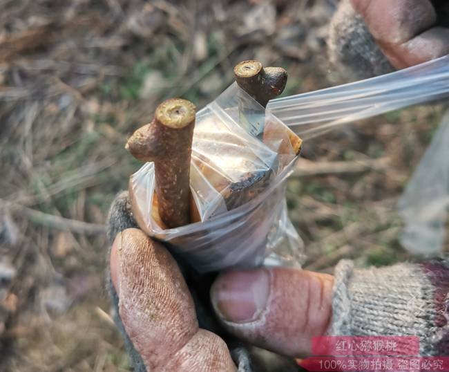 “阳光金果”大卖之后 佳沛诉高昊昱案后续