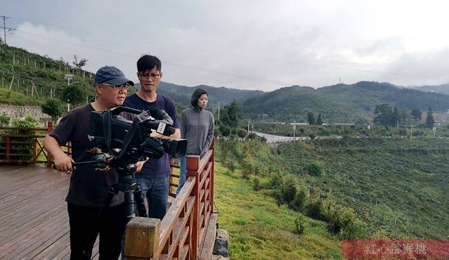 记者采访四川猕猴桃基地 2022年水果行业发展趋势 包括猕猴桃