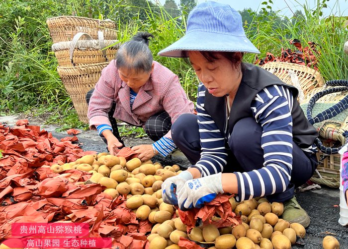 因为购买猕猴桃花粉引起的法律诉讼