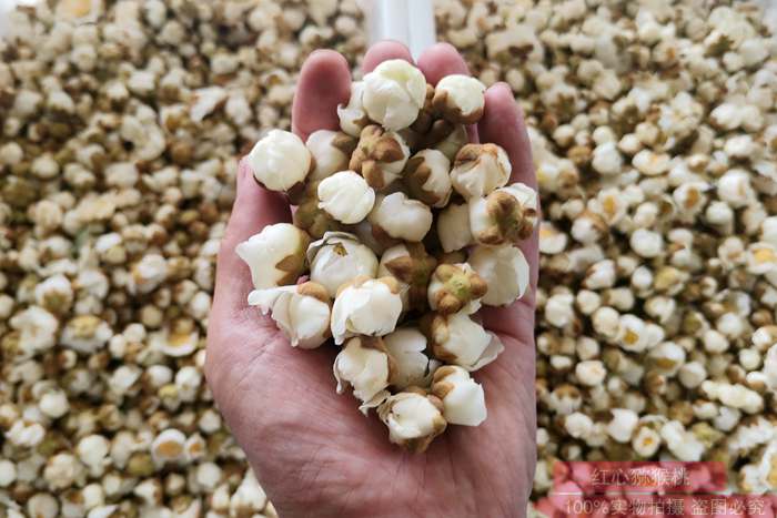 猕猴桃花蕾 逆境中寻出路 贵州遵义三岔镇猕猴桃小花粉 做出新产业