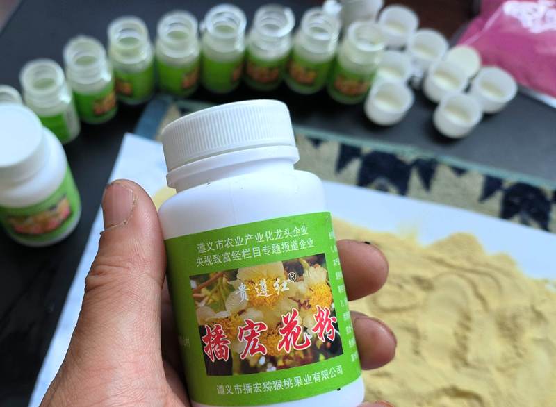 不同温度 猕猴桃花粉贮藏方法比较