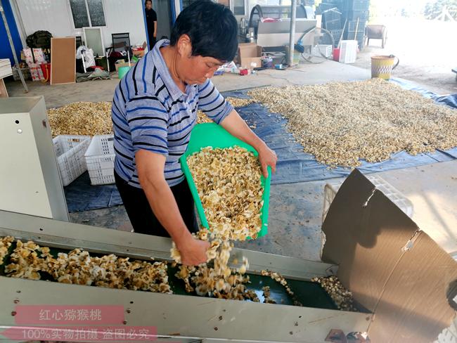 贵州遵义明年促进形成规模品牌猕猴桃花粉产业目前