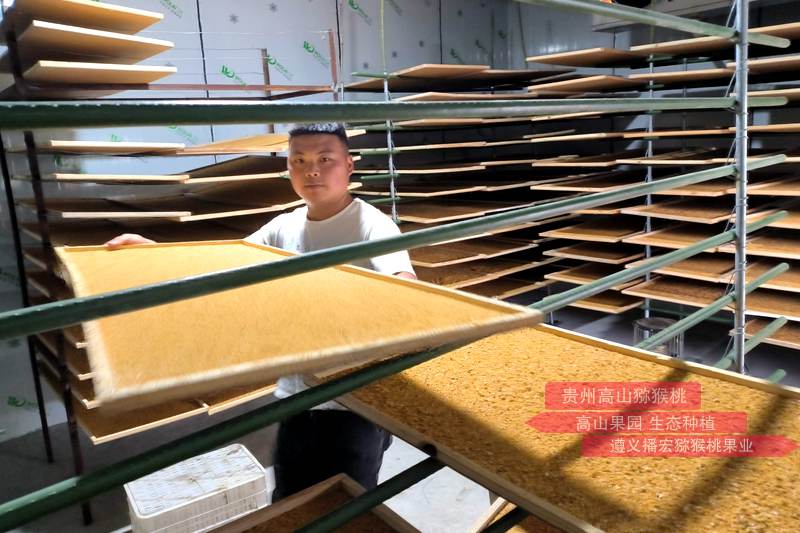 猕猴桃雄株高标准建园及高效授粉技术标准规程