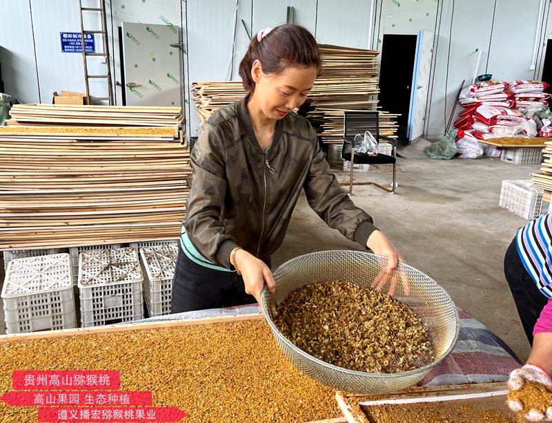 为猕猴桃产业发展贡献更多“天丰力量”