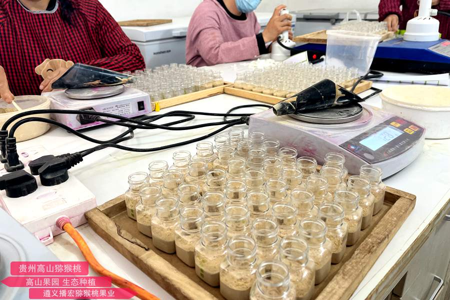 不同温度 猕猴桃花粉贮藏方法比较