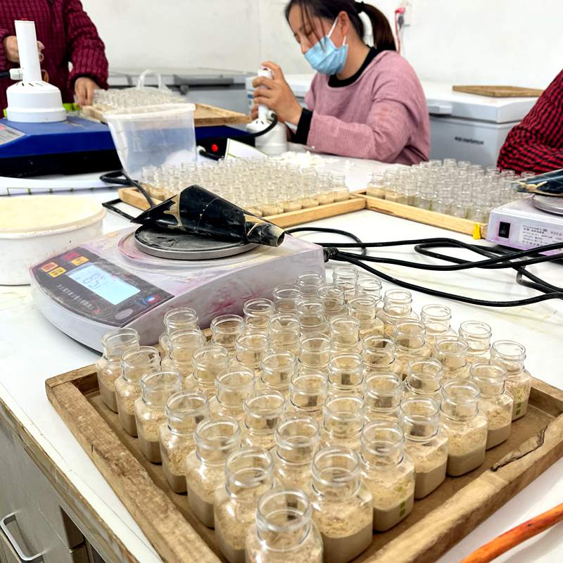 蜜蜂造访多少次才能给猕猴桃完成授粉？Dr Mark Goodwin论文结论