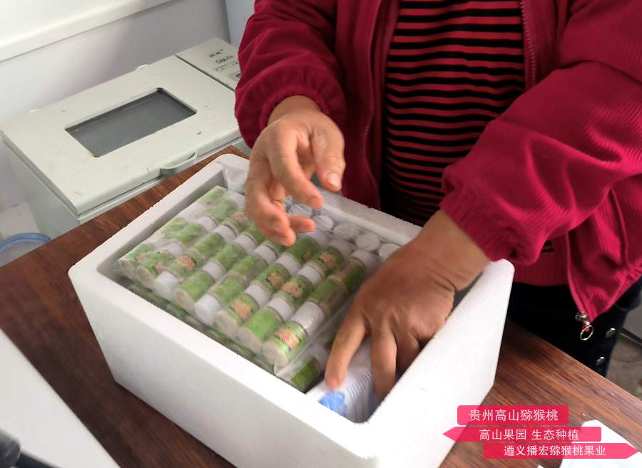 关于猕猴桃商品花粉的研究