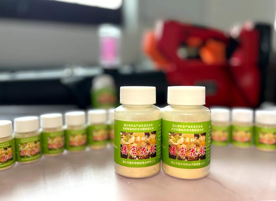 纯度最高的猕猴桃花粉 视障者刘家松是贵州安顺普定县的猕猴桃种植大户