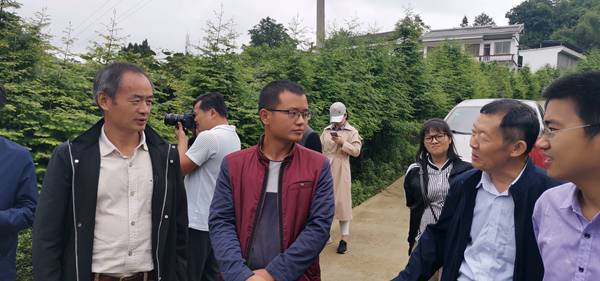 贵州凯里黄平县旧州镇猕猴桃产业基地进入管护期