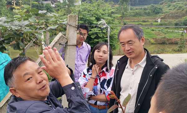 陕西省眉县猕猴桃产业园区管委会立足拓展建设猕猴桃全产业链