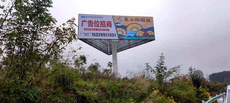 三岔猕猴桃果园