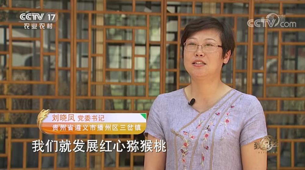 介绍猕猴桃产业发展情况