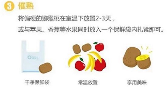 湖南凤凰猕猴桃果园五月份视频配字幕