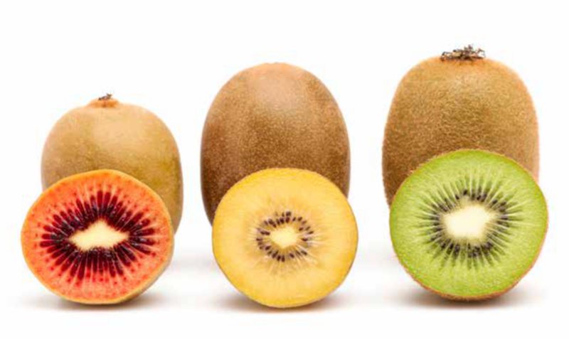 中国猕猴桃的“觉醒年代”