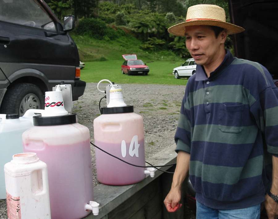 配置湿式猕猴桃喷雾授粉原液 不同浓度花粉悬浊液对‘金红’猕猴桃果实生长及品质的影响 水粉湿式