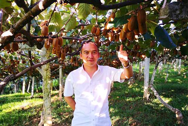 贵州圣地有机农业有限公司路阳春 四川猕猴桃花粉产业生产线正式投入运行