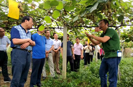 河南省南阳市猕猴桃产业发展规划纲要 （2018——2030年）