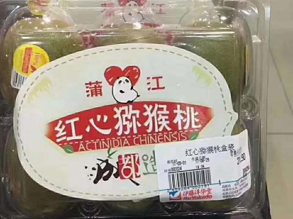 四川猕猴桃什么时候上市销售 带你看看蒲江都江堰苍溪各地