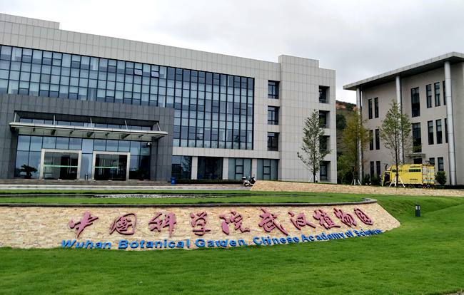 中国猕猴桃的“觉醒年代”