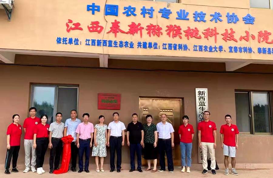 不同雄株花粉组合对“红阳”猕猴桃果实品质的影响