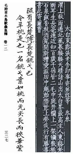 中国猕猴桃的“觉醒年代”