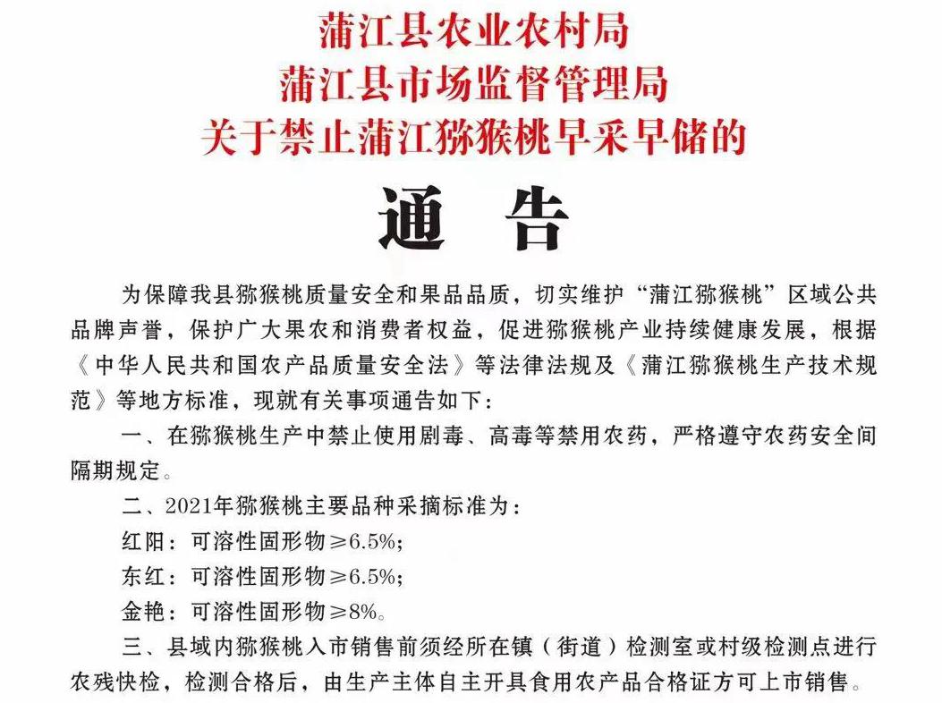 红心猕猴桃网上销售 四川猕猴桃:我们没熟!不要买我!四川农村报2021年报道