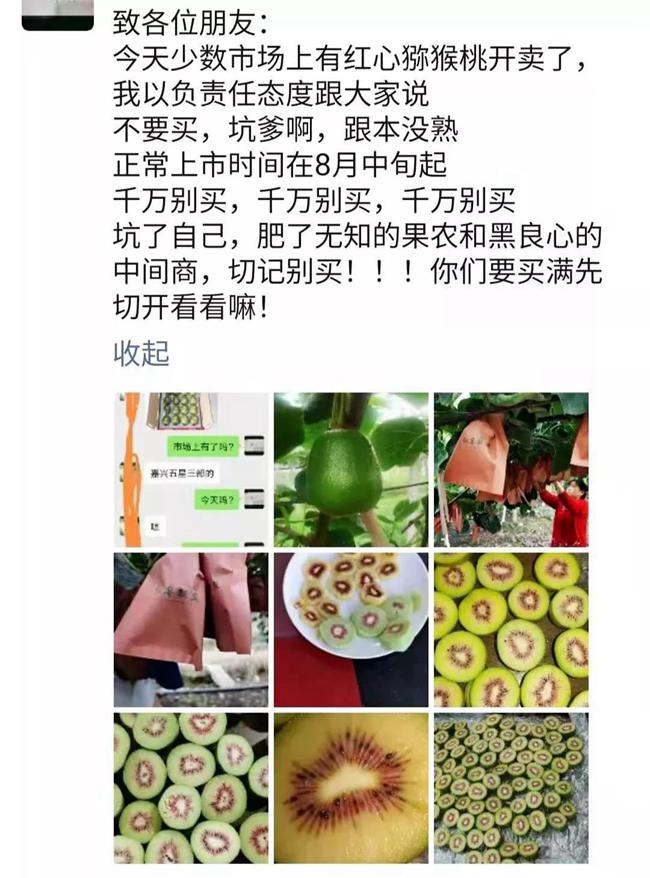 早采的猕猴桃为何屡禁不止