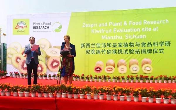 中国猕猴桃产业技术创新战略联盟 我国猕猴桃产业技术创新战略的三大国家级联盟