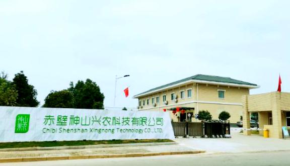 神山兴农猕猴桃
