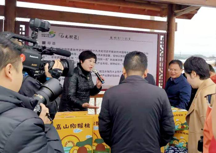 三岔镇猕猴桃 2020年遵义市绿色食品工业项目现场观摩会走进播州