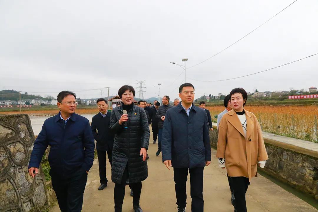 三岔镇猕猴桃 2020年遵义市绿色食品工业项目现场观摩会走进播州