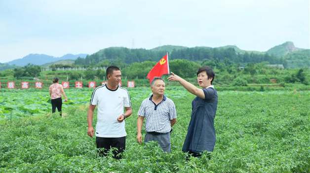 三岔镇党委书记刘晓凤 她冲锋在疫情防控一线 记遵义市、区、镇人大代表,三岔镇党委书记刘晓凤