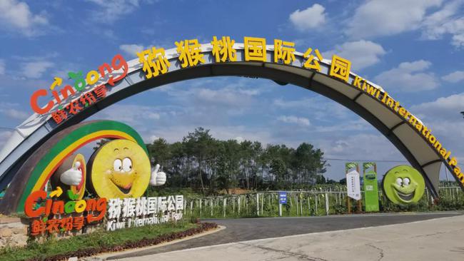 “阳光金果”大卖之后 佳沛诉高昊昱案后续