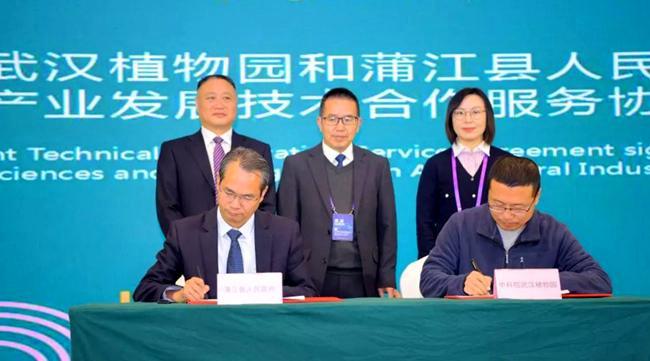 “2019品牌农业发展国际研讨会暨国际猕猴桃产业发展论坛”在蒲江成功举办