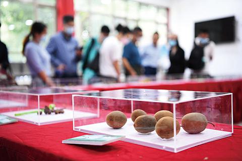 “阳光金果”大卖之后 佳沛诉高昊昱案后续