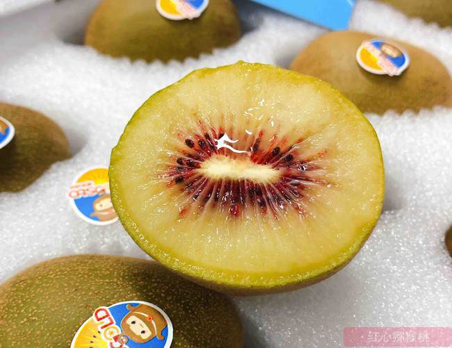 东红猕猴桃 西藏察隅县主要种植的“东红猕猴桃”、“金隅猕猴桃”两个品种